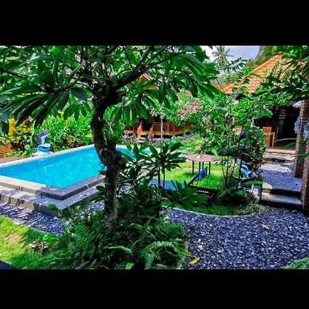 Halumba Eco Villa Bali Tejakula Bagian luar foto