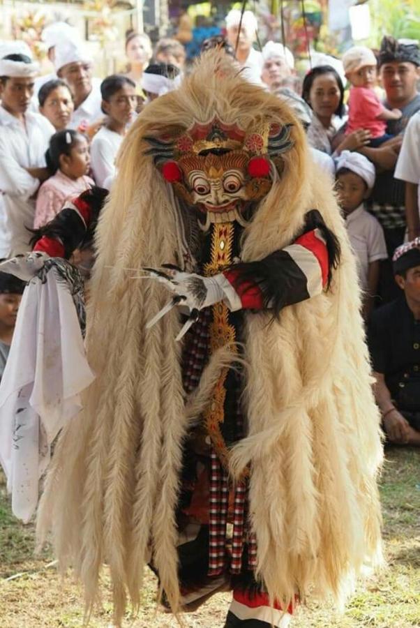 Halumba Eco Villa Bali Tejakula Bagian luar foto