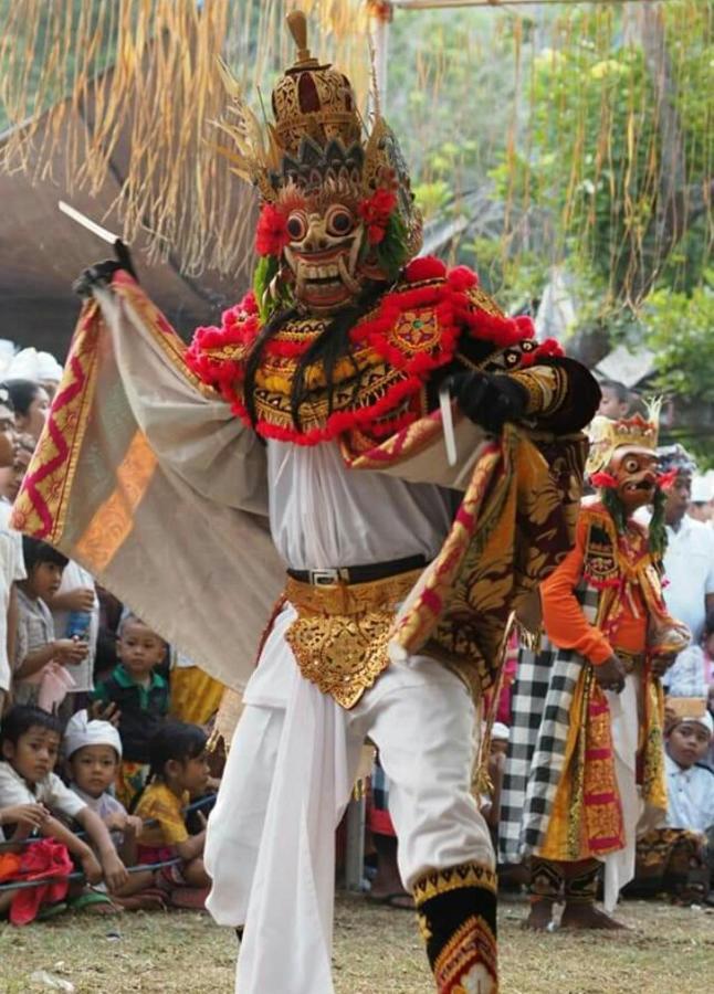 Halumba Eco Villa Bali Tejakula Bagian luar foto