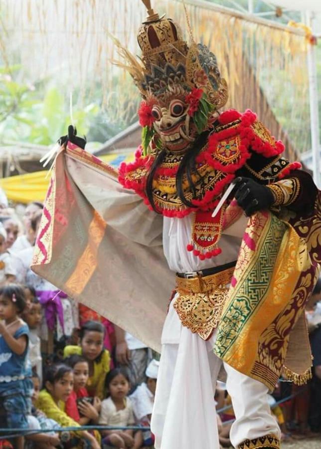 Halumba Eco Villa Bali Tejakula Bagian luar foto